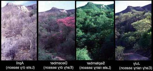 TDF four seasons comparison